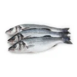 Asian Sea Bass Fish / கொடுவா மீன்