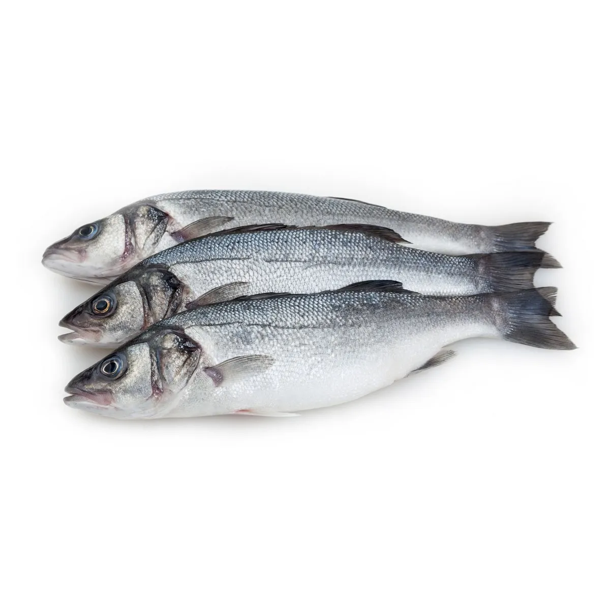 Koduva Asian Sea Bass Fish / கொடுவா மீன் - Image 1
