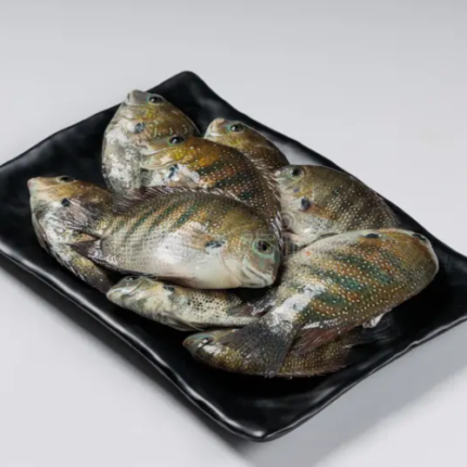 Pearl Spot Fish / கரிமீன்