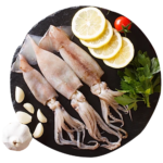 Squid Fish / கணவாய் மீன்