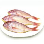 Threadfin Bream / மஞ்சகிளி மீன்