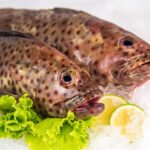 Brown Dot Grouper/ களவாய் மீன்