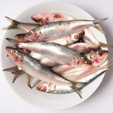 Sardine Fish / மத்தி மீன்