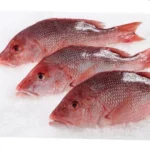 Pink Perch / சங்கரா மீன்