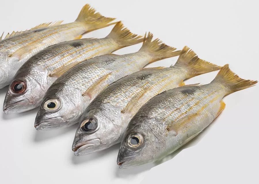 1000034019-2 Korkai Fish / கொற்கை மீன் - Image 1
