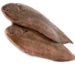 Indian Halibut (Naaku Fish) / நாக்கு மீன்